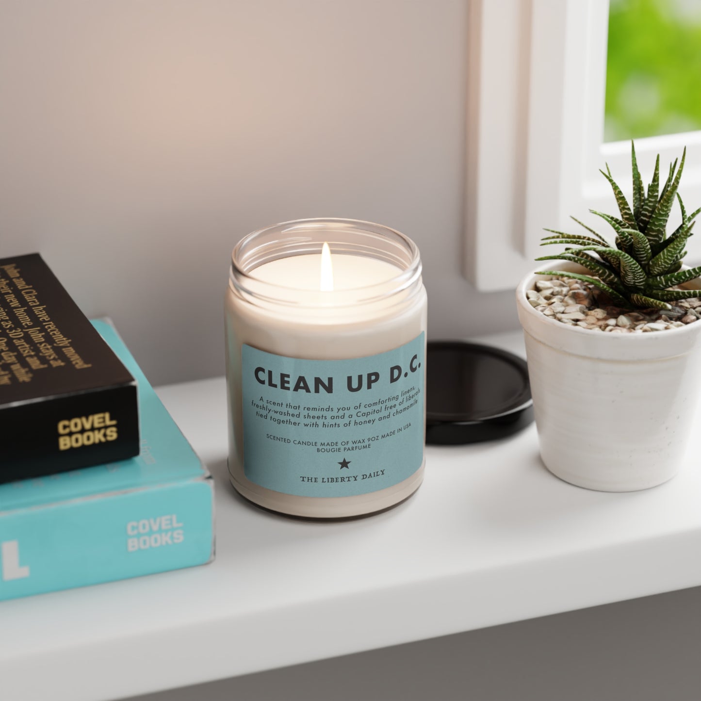 Clean Up D.C. Candle