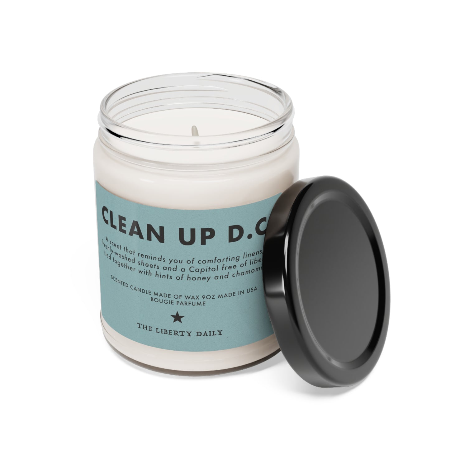 Clean Up D.C. Candle