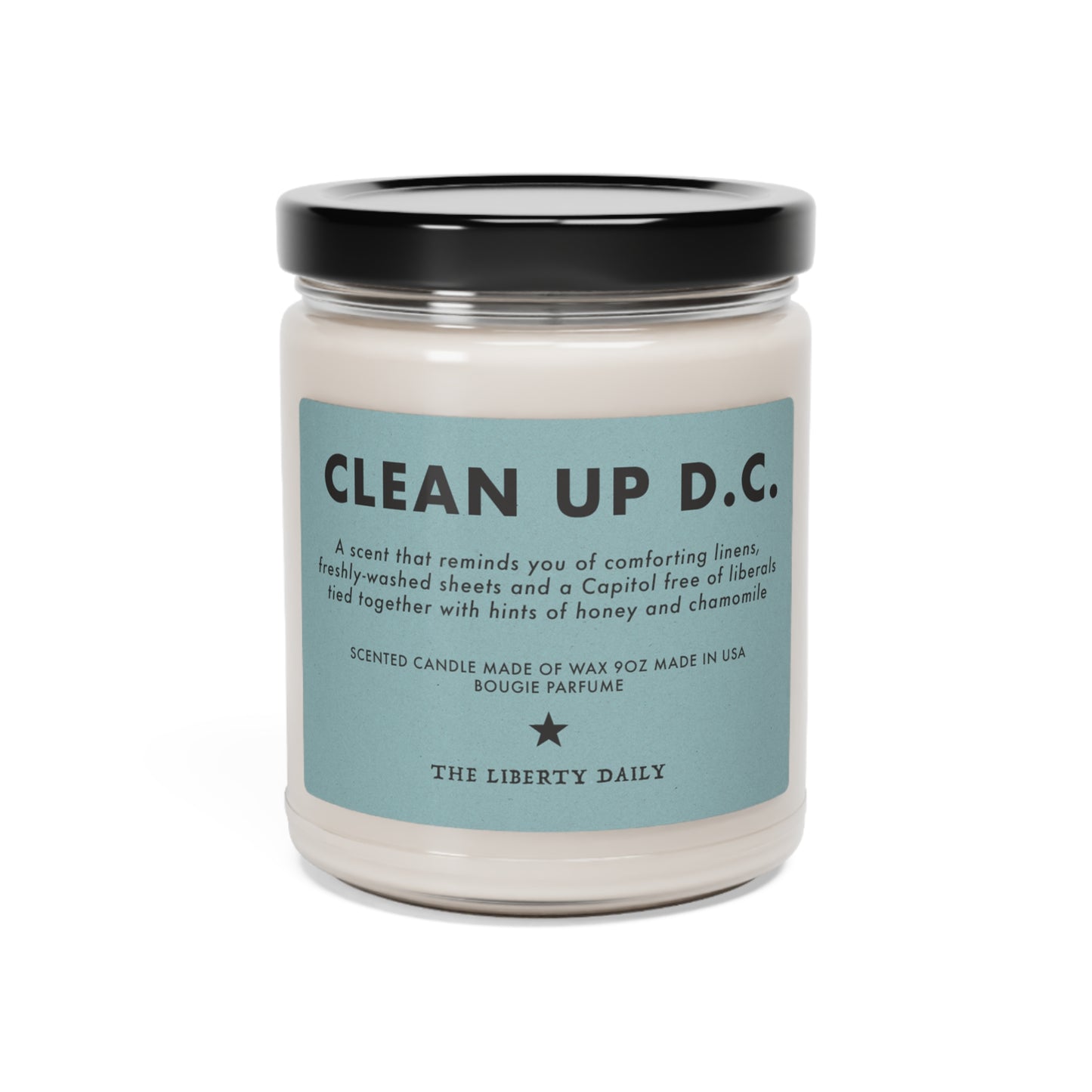 Clean Up D.C. Candle