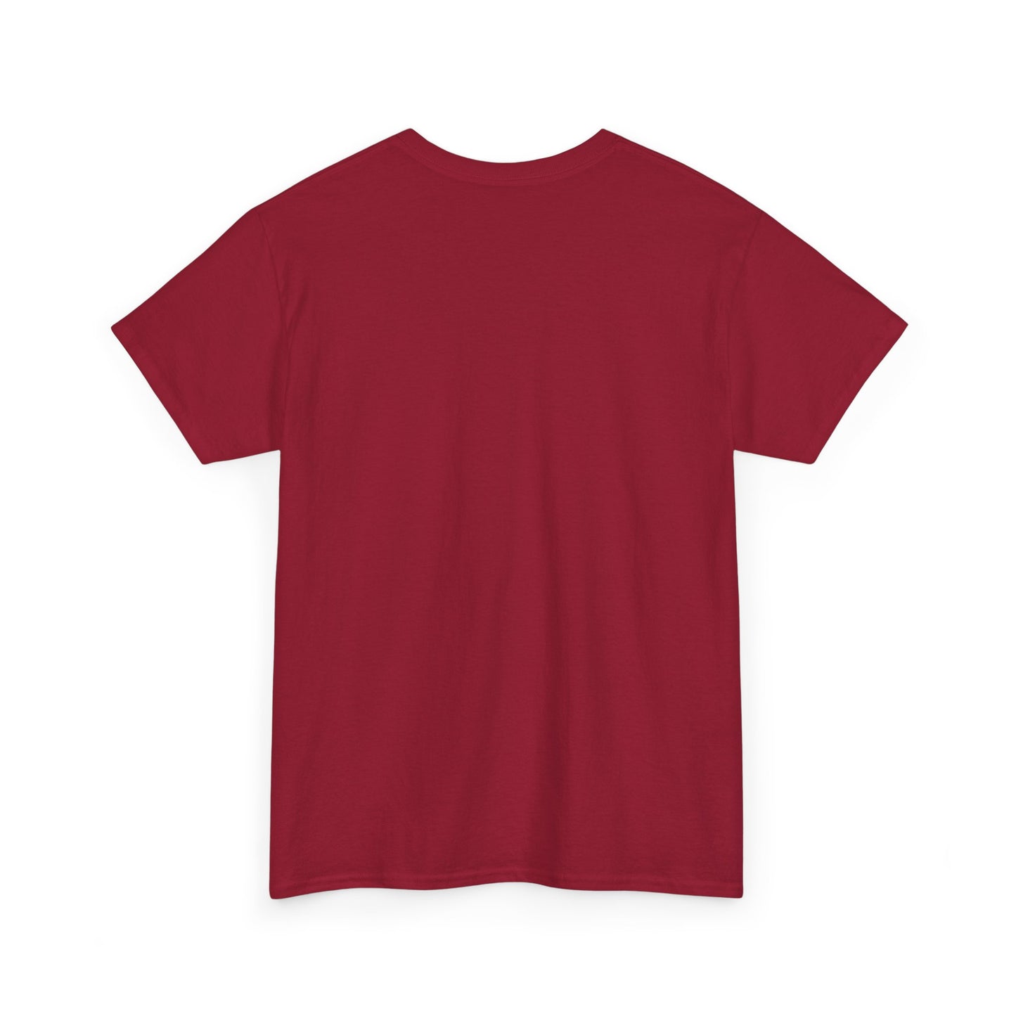 Obama for Prison 2025 Tee
